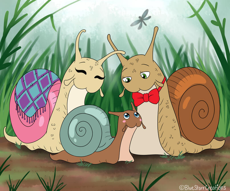 Snail Family